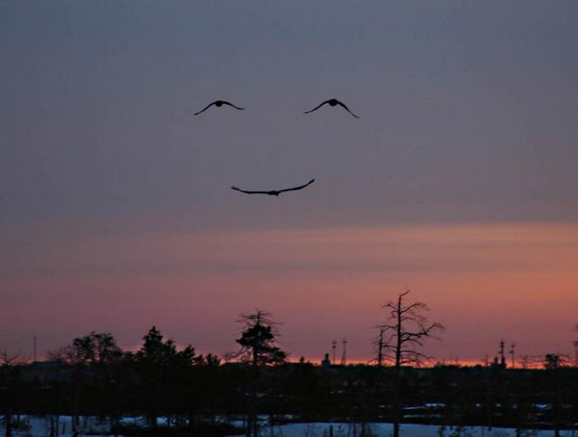 sky-smile1
