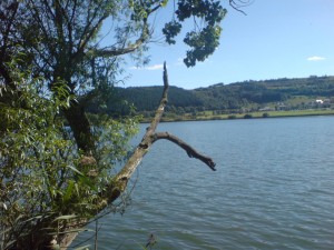 Ein Spätsommertag am Meerfelder Maar