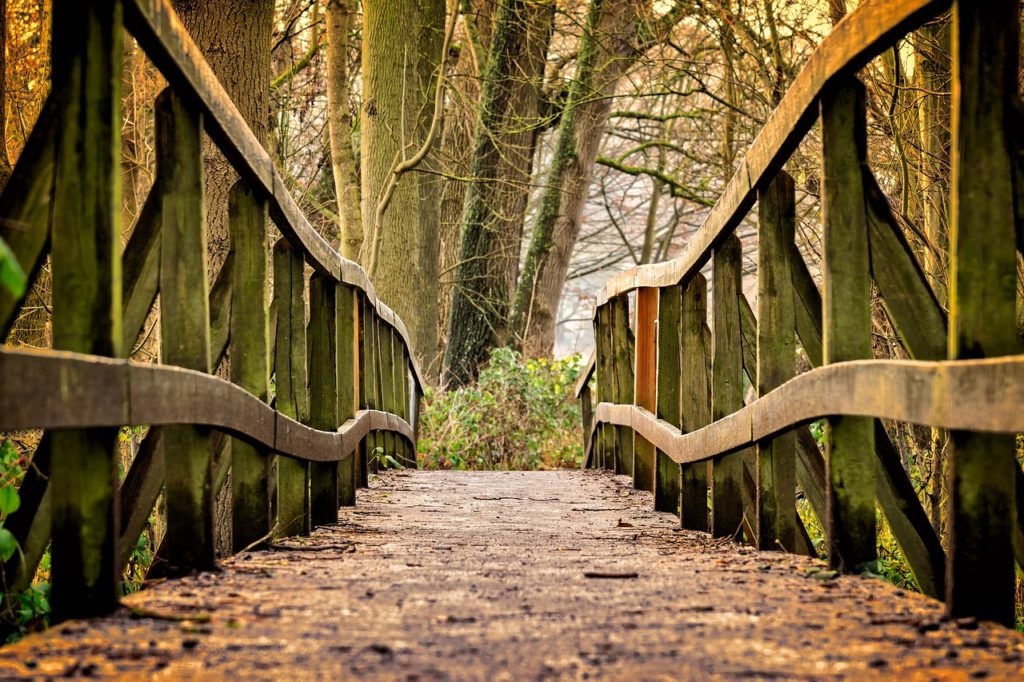 Holzbrücke im Wald