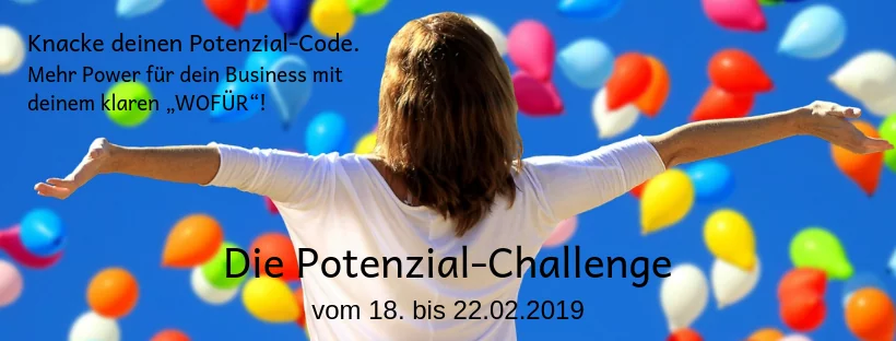 Banner Potenzial-Challenge