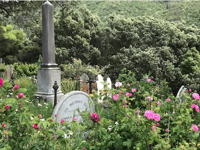 Friedhof Wellington