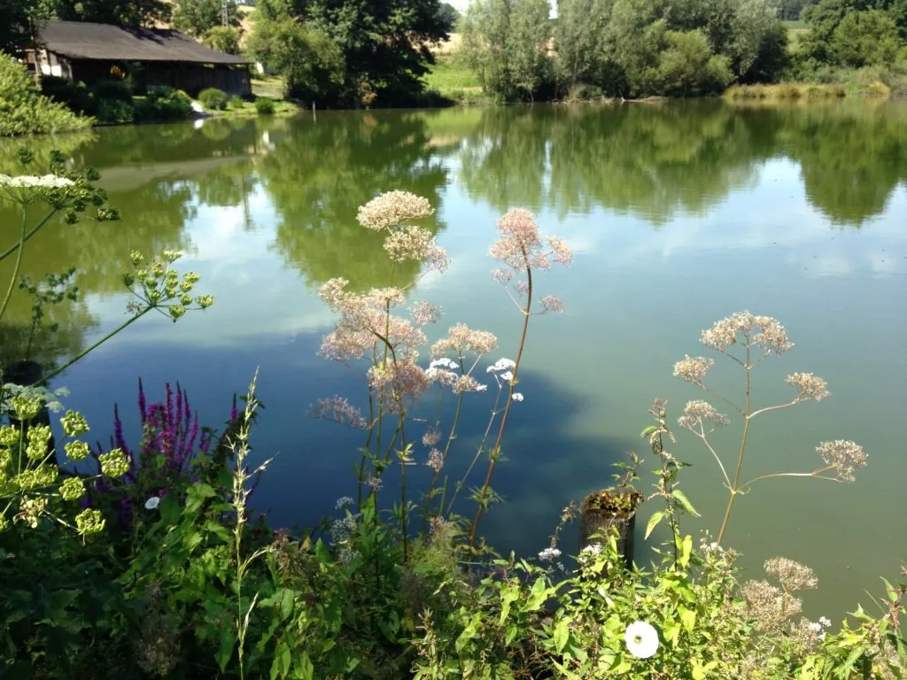 Rotthäuser Bachtal